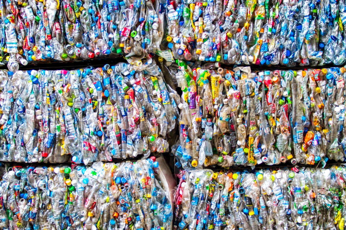 Viel Abfall, aber auch viel Recycling – so werfen Herr und Frau Schweizer fort – entsorgBar